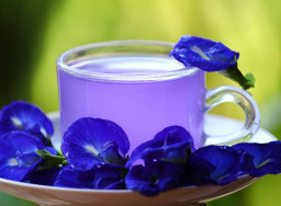 Dokter: Teh Bunga Telang Bantu Lawan Kanker
