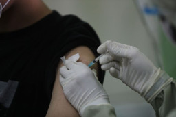 Spesialis: Vaksin Dengue Penting Bukan Cuma untuk Anak