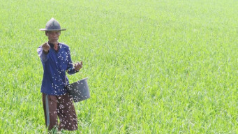 Pemkab Situbondo Ajukan Nama Petani yang Belum Terdaftar Penerima Pupuk Subsidi