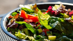 Studi: Pola Makan Nabati Pangkas Risiko Penyakit