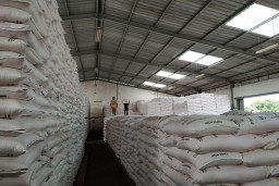 Pupuk Indonesia Siapkan Stok Pupuk Subsidi 1,45 Ton Hingga Lini III