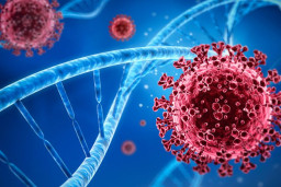 Baca juga : WHO Selidiki COVID Varian 'Eris', Picu Kematian Secara Tiba-Tiba?