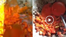 Polisi Selidiki Video Cabai Diduga Dicampur Cat