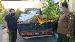 Pencurian Kayu Sonokeling Digagalkan Polisi