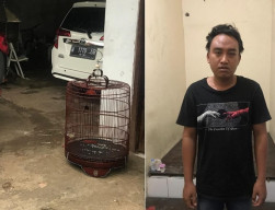 Maling Murai Nyaris Dimassa