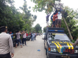 Warga Ngawi Tewas Tersetrum saat Tebang Pohon