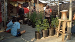 Adik Kakak di Tangerang Tanam Ganjadi Lantai 2 Rumahnya