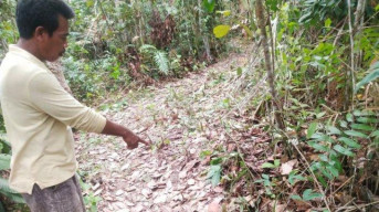 Miris, Pelajar Perkosa Bocah 10 Tahun Usai Dibunuh