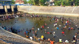 Debit Air Menyusut, Warga Jombang Ramai-ramai Berburu Aneka Jenis Ikan