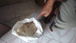 Temuan Puntung Rokok di Beras Bansos Kabupaten Mojokerto