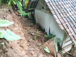 Diguyur Hujan 5 Jam, Tebing 4 Meter Longsor