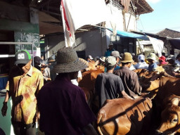 Diduga Lakukan Pungli, Oknum Pasar Terjaring OTT