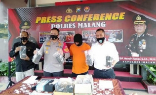 Tak Bisa Beli Ganja, Pria di Malang Tanam 17 Pohon Ganja