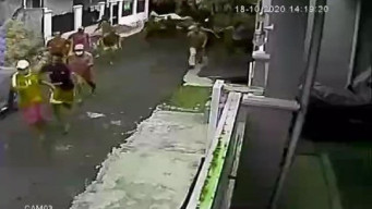 Judi Sabung Ayam Digerebek, Pejudi Kocar-Kacir