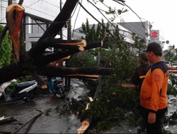 Angin Kencang Robohkan Tenda UMKM Alun-Alun Jember
