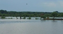 Pemerhati Lingkungan Sebut Abrasi di Gresik Ekstrim, Capai 5 km dalam 15 Tahun