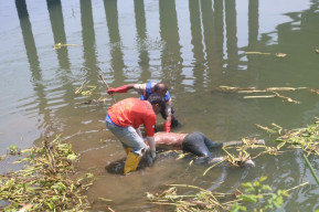 Identitas Mayat Pria di Bawah Jembatan Ploso Jombang Terungkap, Sempat Hilang Tiga Hari