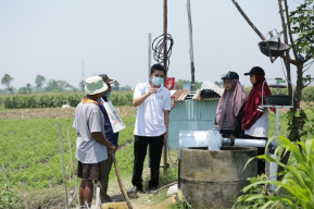 Dukung Sektor Pertanian, PLN Giatkan Sebaran Electrifying Agriculture di Jawa Timur
