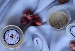 Harga Bawang Merah Anjlok, 45 Ribu Ibu-ibu di Nganjuk Sulap Jadi Bubuk Dapur Siap Pakai