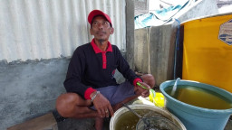 Cuaca Ekstrem, Petani Tambak Vanamei Enggan Tabur Benih Ikan