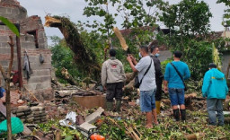 Pohon Tua di Kota Blitar Ambruk, Timpa 3 Rumah