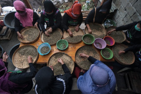 Warga Desa Wonosalam Jombang Potensikan Kopi Berkualitas