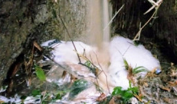 Limbah Pabrik Sumpit Dikeluhkan Warga Bondowoso