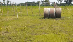 Warga Madiun Tolak Rencana Pembangunan Pasar Muamalah