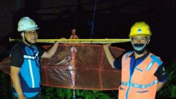 Layang-layang Padamkan Listrik, Pembelajaran Daring Terganggu