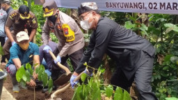 Banyuwangi Canangkan Tanam 1000 Pohon Antisipasi Bencana Alam