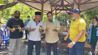 Wakil Ketua DPRD Ingin Petani Mangga Alpukat di Pasuruan Naik Kelas