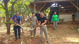 Mangsa Ternak, Petugas Gabungan Amankan Ular Piton