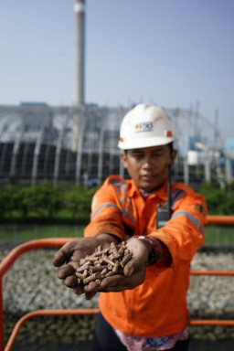 Jamin Pasokan Biomassa, Sinergi 3 BUMN mewujudkan Indonesia yang Lebih Ramah Lingkungan