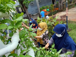 Surabaya Dorong Pembentukan Kelompok Wanita Tani di Perkampungan