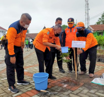 BPBD Jatim Tanam 500 Bibit Pohon, Komisi E DPRD Jatim Hijaukan Kota Malang