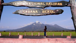 Pulihkan Potensi Desa, Taman Nasional Baluran Resmi Dibuka
