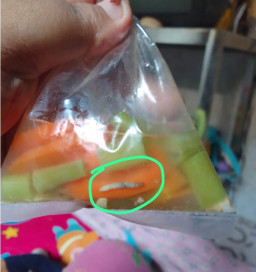 Penyedia Makanan Tambahan Stunting di Jombang Akui Ada Ulat di Dalam Sup