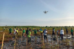 Pemkot Probolinggo Gerakkan Konservasi Mangrove