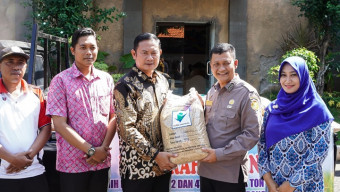 BSIP Jatim Gelontorkan 1 Ton Benih Padi untuk Petani Sukorejo
