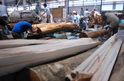 Tekan Laju Deforestasi dan Pembalakan Kayu Liar, APHI Dukung Penguatan SVLK