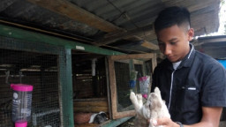Sukses Berbisnis Kelinci Sejak SMP Secara Otodidak
