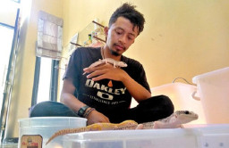 Budidayakan Cleopard Gecko Cantik Beromzet Jutaan Rupiah