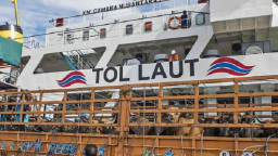 Kemenhub Gencarkan Bisnis Angkutan Khusus Ternak