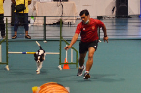 Puluhan Anjing Berbagai Ras Adu Bakat Pada Ajang Jatim Agility Race 2022