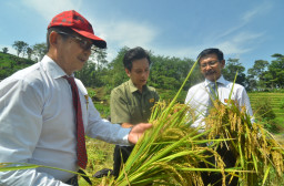 Dorong Petani Milenial, PT ATM Ajak Pemuda Hadapi Potensi Ancaman Krisis Pangan