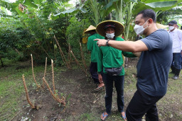 Manfaatkan Lahan Tidur Untuk Hadapi Ancaman Krisis Pangan Global