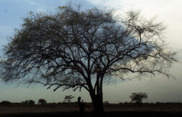 Fotografer Surabaya Gelar Karya Pameran Fotografi Online 'IN BETWEEN'