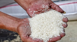 Filipina Berlakukan Pembatasan Harga Beras Dalam Upaya Mengurangi Tekanan Ekonomi