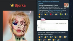 Bjorka Lawan Pemerintahan Zalim, Benarkah?