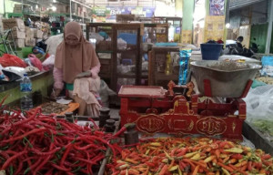 Harga Cabai di Bondowoso Makin Pedas: Pedagang Sumringah, Pembeli Meringis